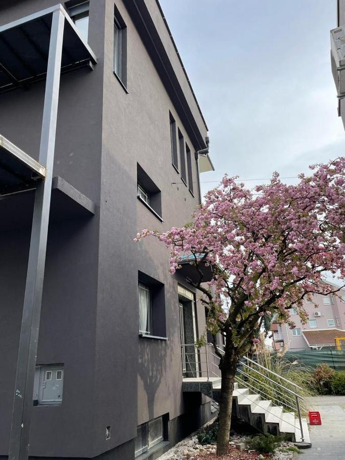 B&B Noce Zagreb Exteriör bild